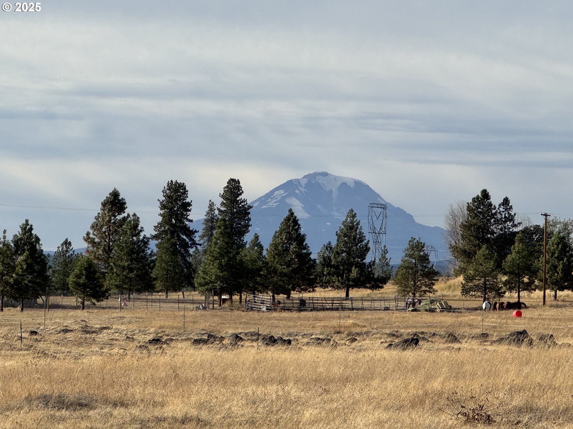 Harris Road, Unit 2 Goldendale, WA 98620 - Photo 6 of 22 a view of a dry yard with a tree