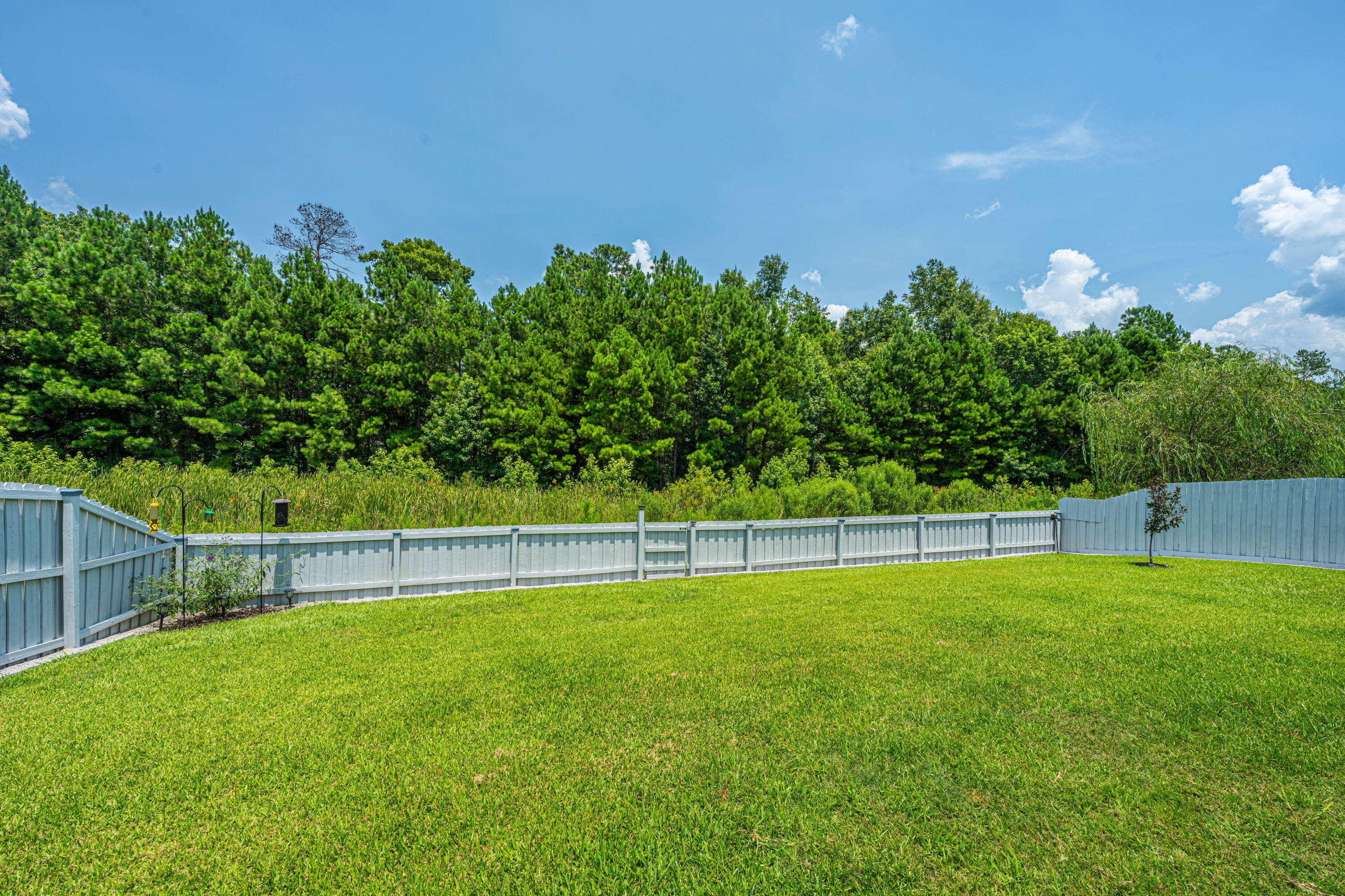 207 Meadow Wood Road Summerville, SC 29486 - Photo 46 of 49 Backyard