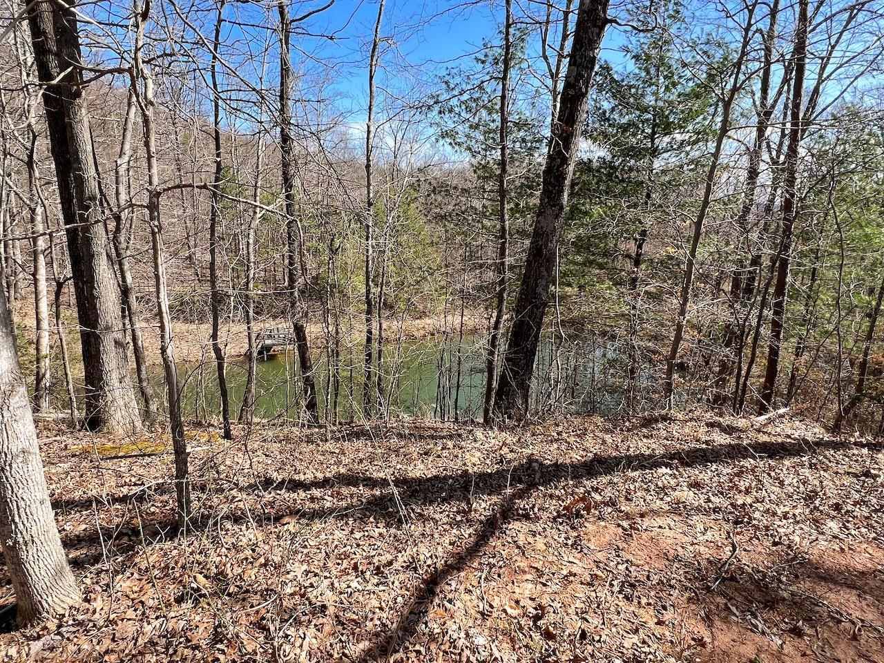 0 Brammer Spur Road Woolwine, VA 24185 - Photo 14 of 39 Gallery Image 14