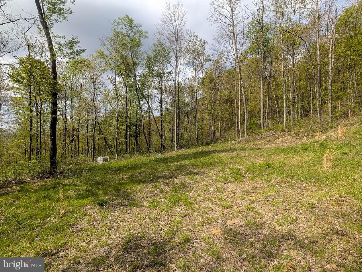 119 Heavens Vw Road Schellsburg, PA 15559 - Photo 23 of 35