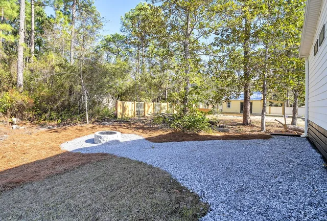 a view of a yard with plants and trees