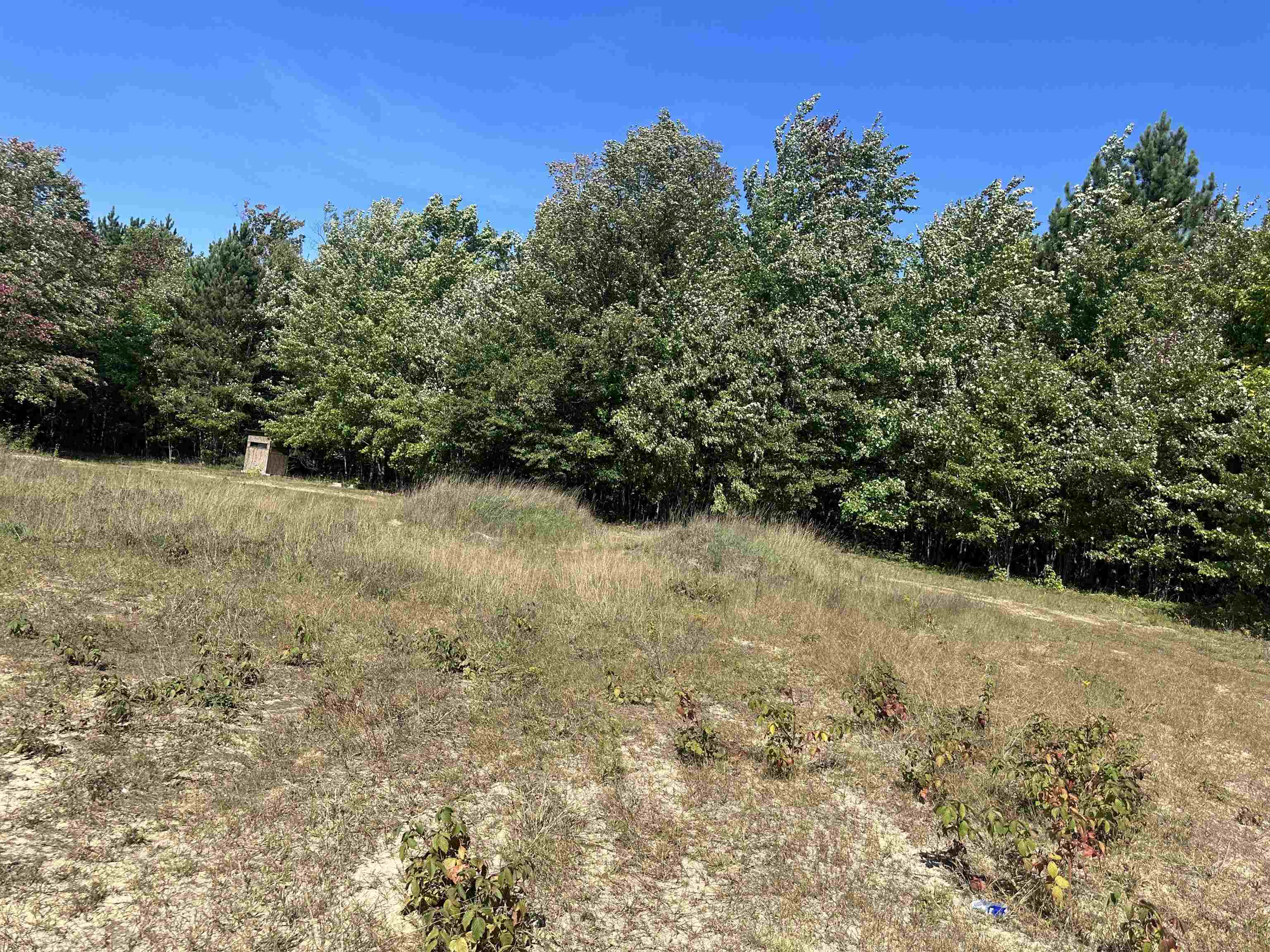 0 Viaduct Road Copemish, MI 49625 - Photo 19 of 19