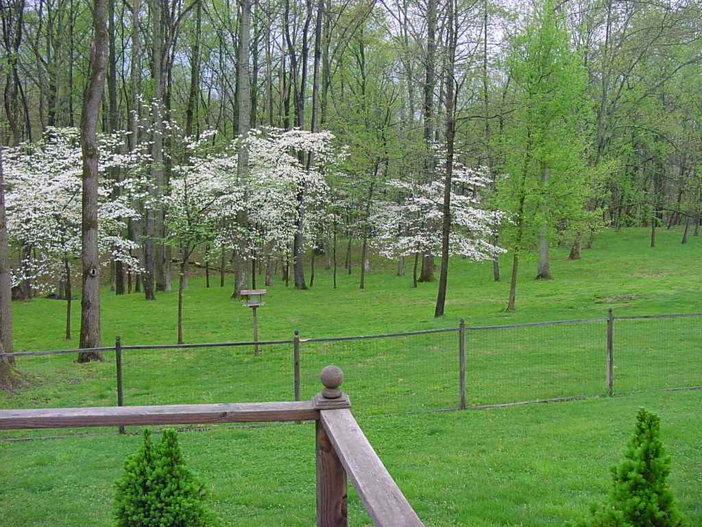 5690 North Water Tower Road Bruceville, IN 47516 - Photo 12 of 31 Gallery Image 12