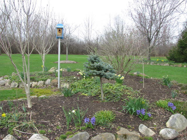 11310 Thwing Road Chardon, OH 44024 - Photo 23 of 24 Gallery Image 23