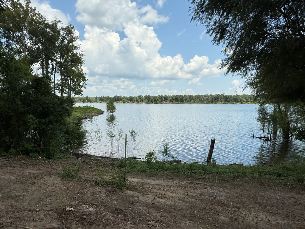 781 Minorca Road Vidalia, LA 71373 - Photo 6 of 10 Photo 6