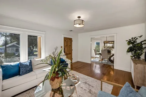a living room with furniture potted plant and wooden floor