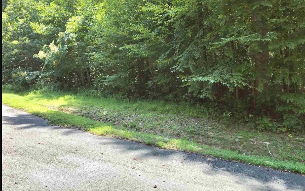 25 Goldmine Gap Road Ellijay, GA 30536 - Photo 6 of 19 Additional View