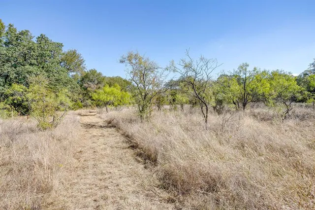 a view of a yard with a tree