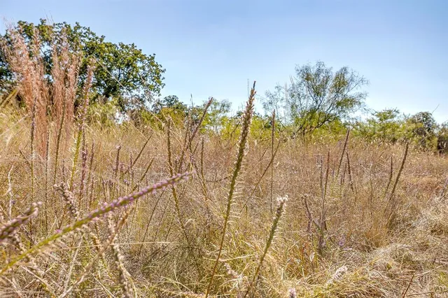 a view of a yard with wooden fence