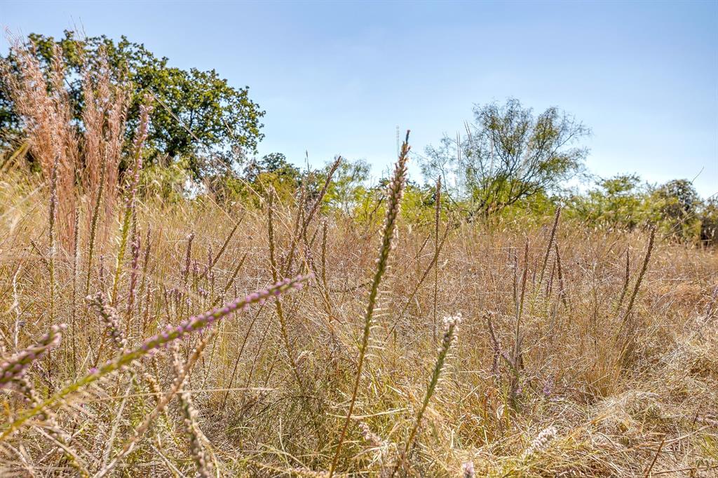 5878 Greenwood Road Millsap, TX 76066 - Photo 37 of 40 a view of a yard with wooden fence