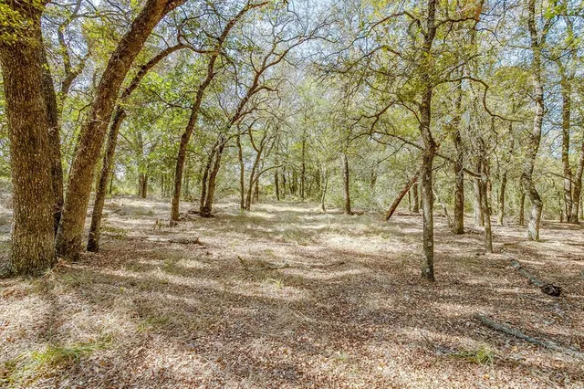 a view of empty space with trees