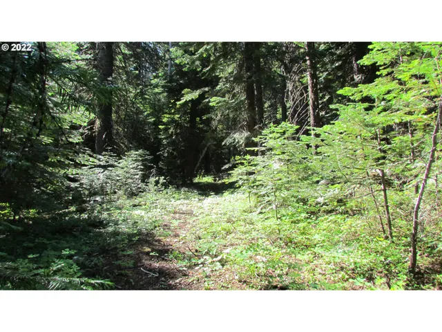 $395,000 | 0 Liberty Road, Joseph, OR 97846