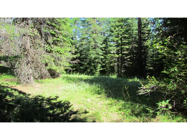 $395,000 | 0 Liberty Road, Joseph, OR 97846