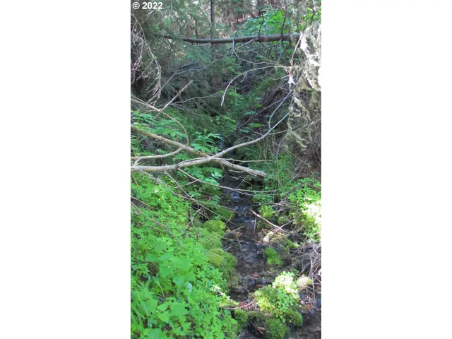 $395,000 | 0 Liberty Road, Joseph, OR 97846