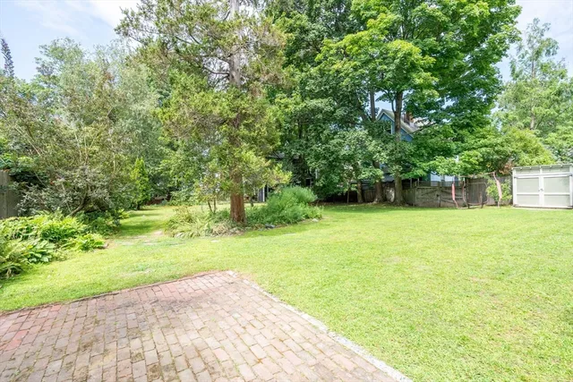 a view of a backyard with large trees