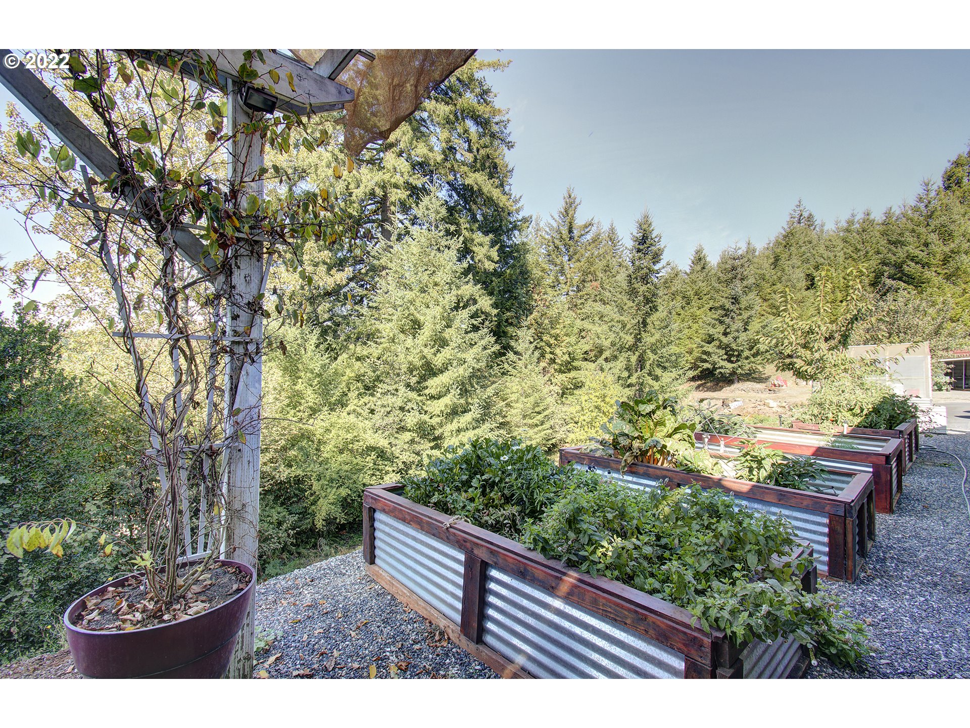 41519 Northeast Munch Road Amboy, WA 98601 - Photo 14 of 27 Gallery Image 14