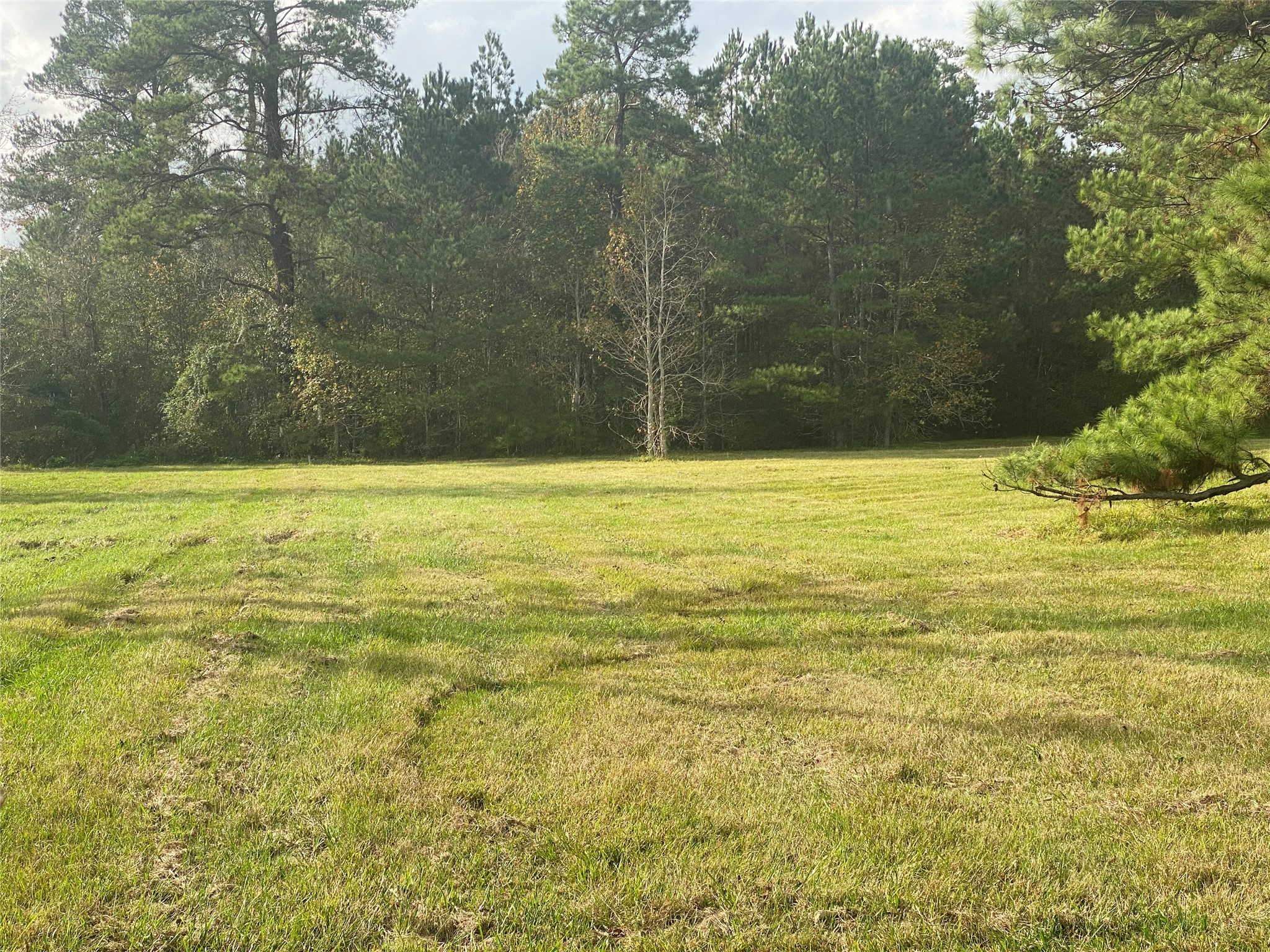 2865 Delaware Street Beaumont, TX 77703 - Photo 12 of 12