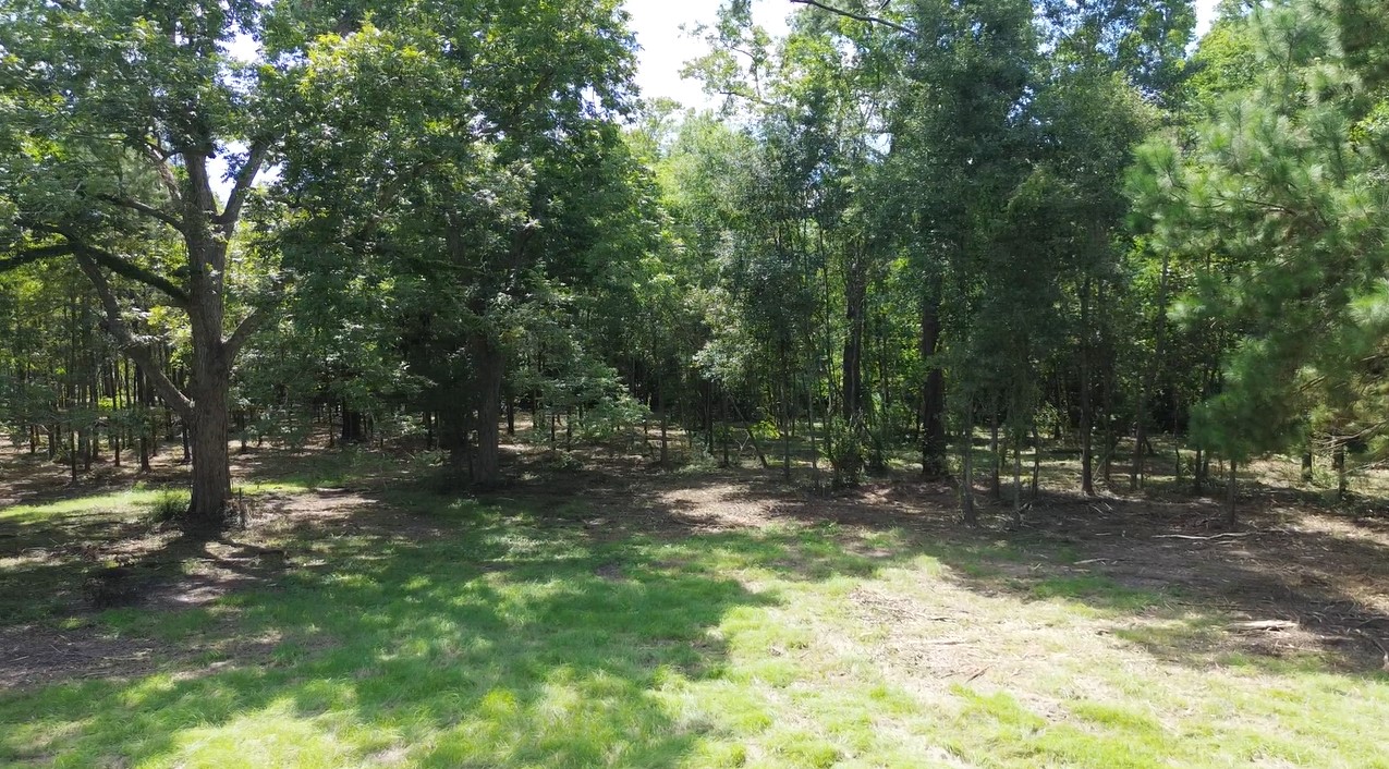 2865 Delaware Street Beaumont, TX 77703 - Photo 3 of 12