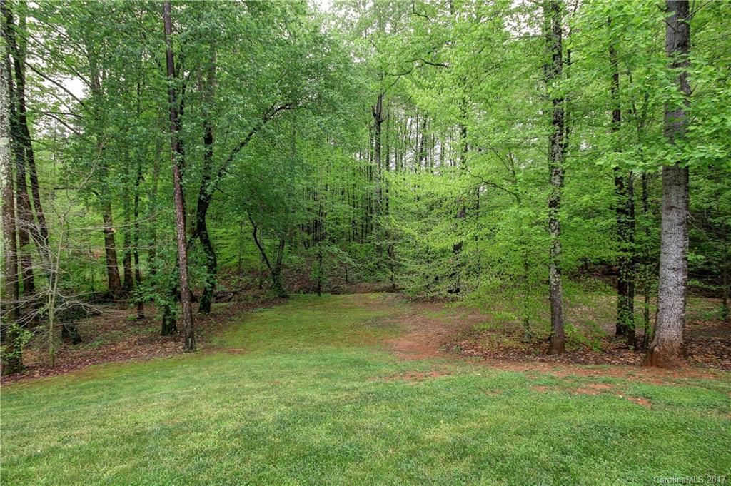 138 Rushing Water Lane Troutman, NC 28166 - Photo 24 of 24