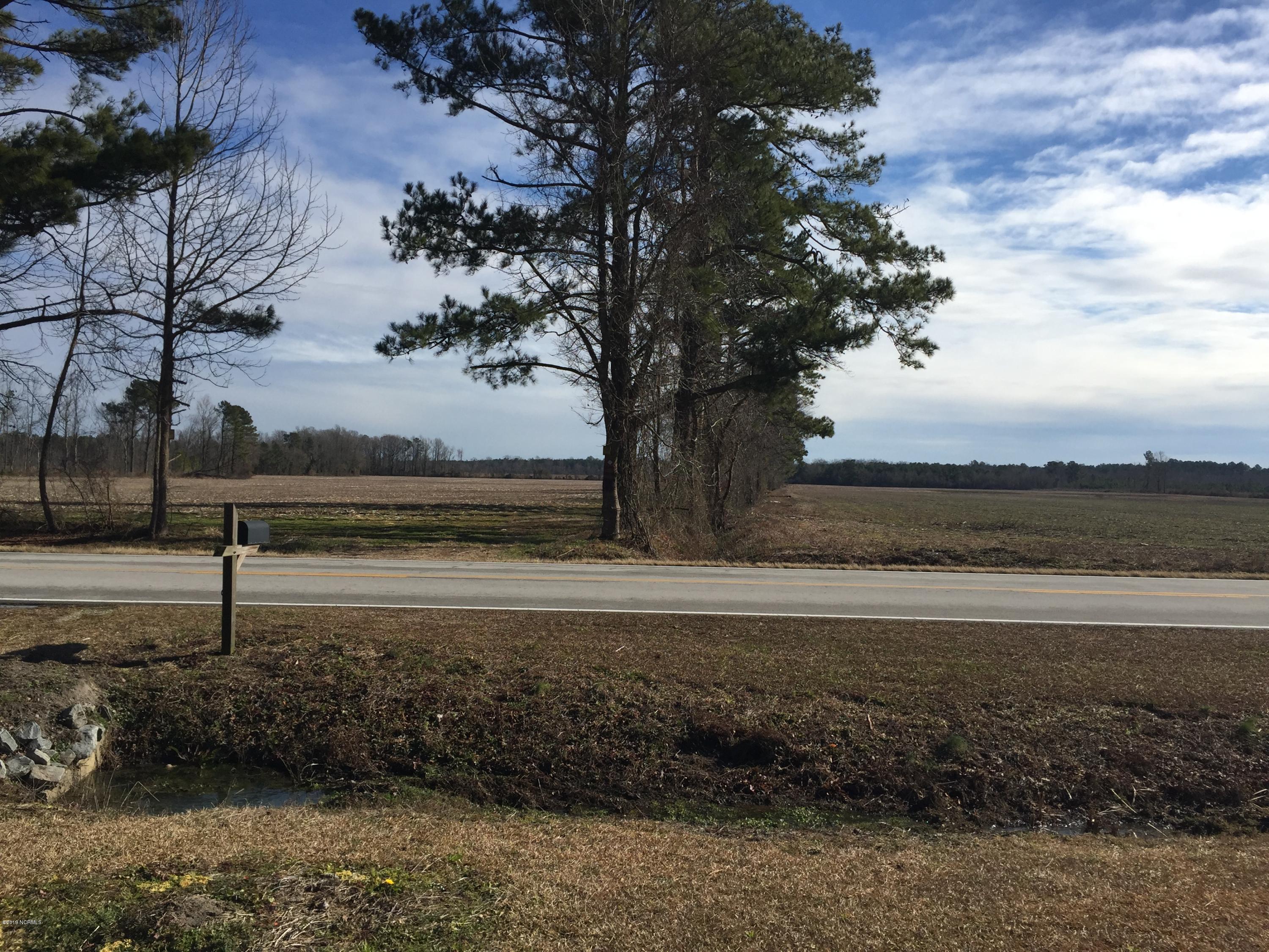 5387 Wyse Fork Road Dover, NC 28526 - Photo 12 of 18 Your view