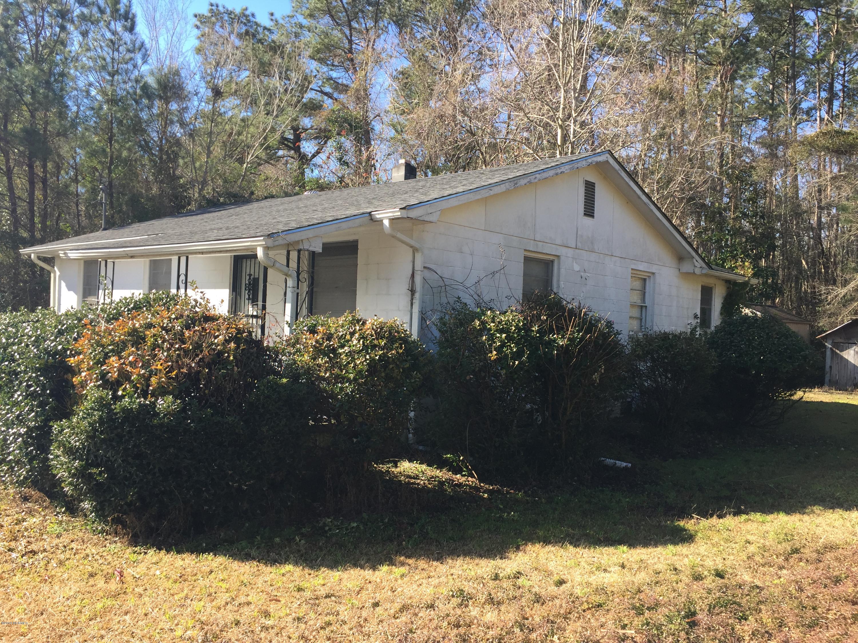 5387 Wyse Fork Road Dover, NC 28526 - Photo 2 of 18 image_46931359512_o