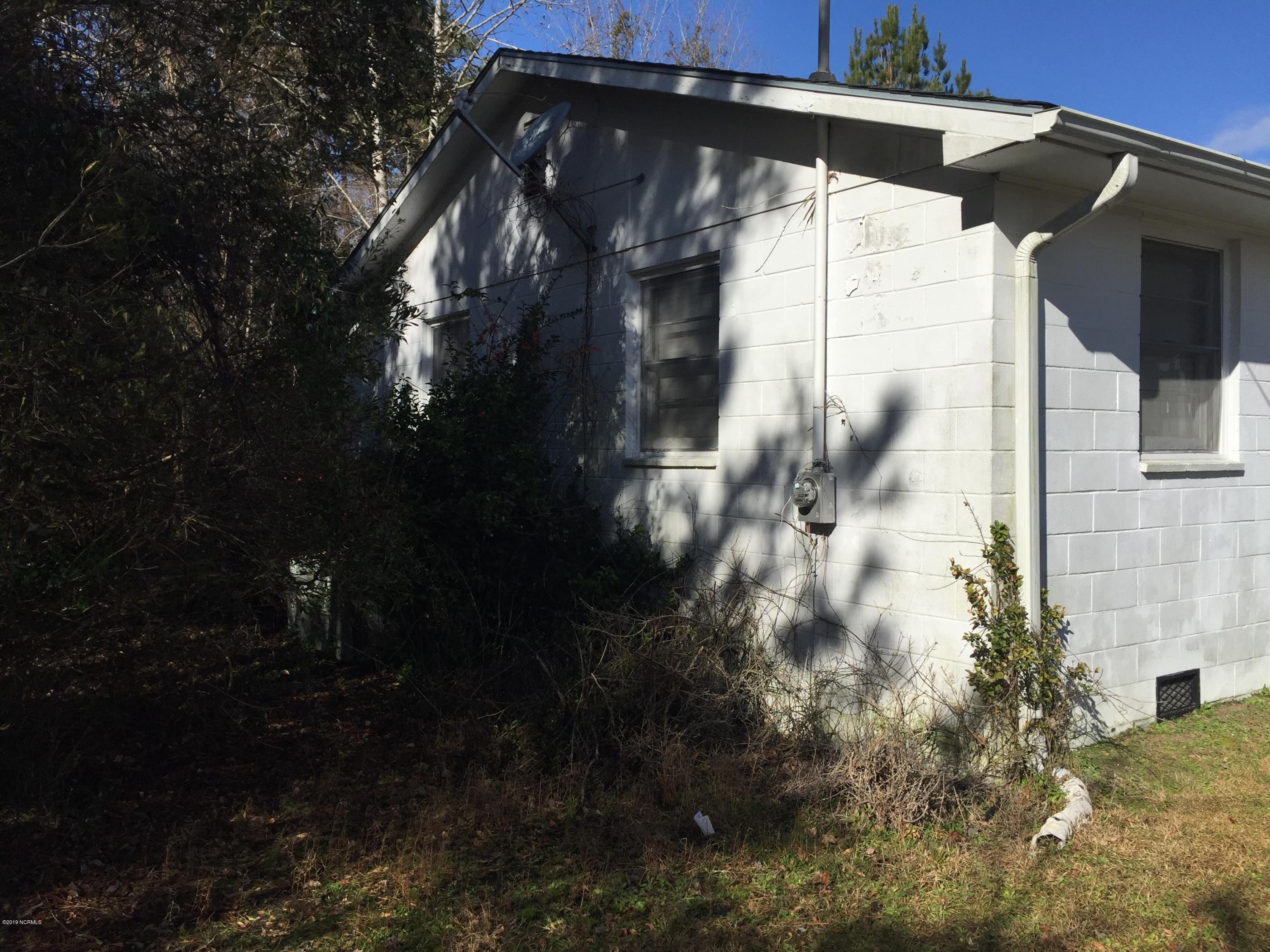 5387 Wyse Fork Road Dover, NC 28526 - Photo 7 of 18 sideyard