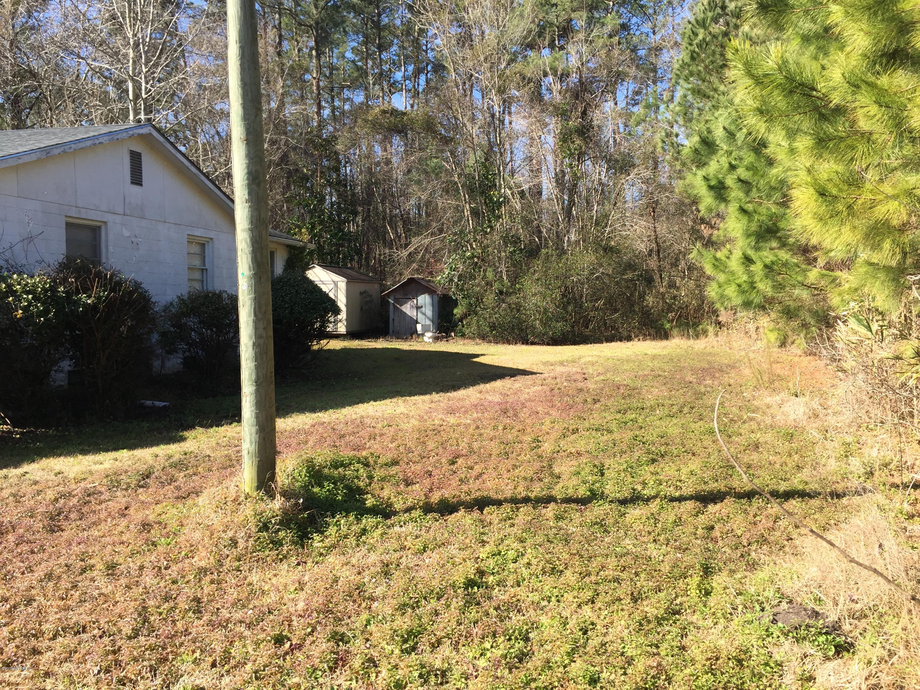5387 Wyse Fork Road Dover, NC 28526 - Photo 9 of 18 Sideyard