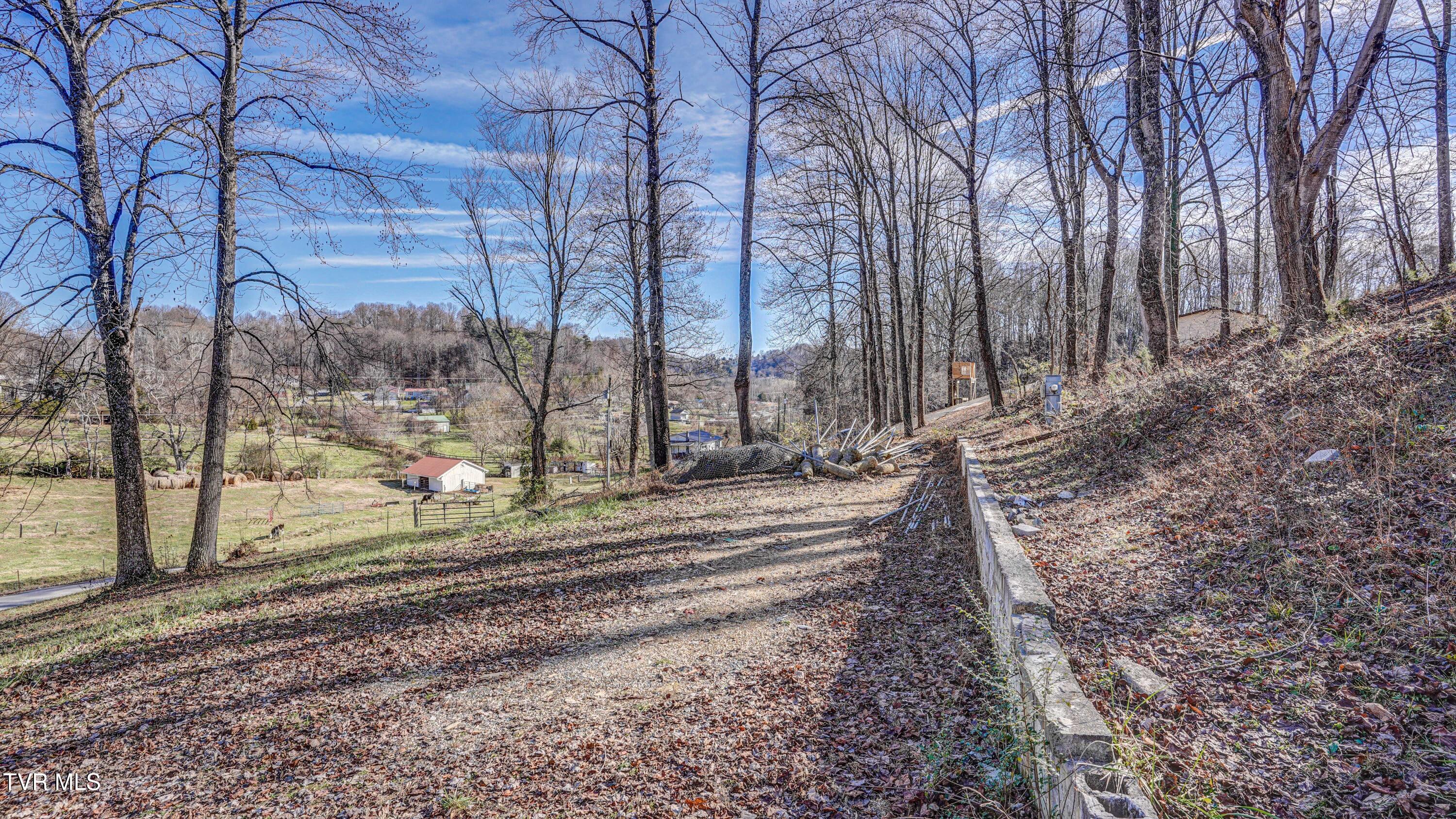 337 Johnson Cemetery Road, Unit LOT 14 Blountville, TN 37617 - Photo 17 of 27 DSC02402_3_4_5_6