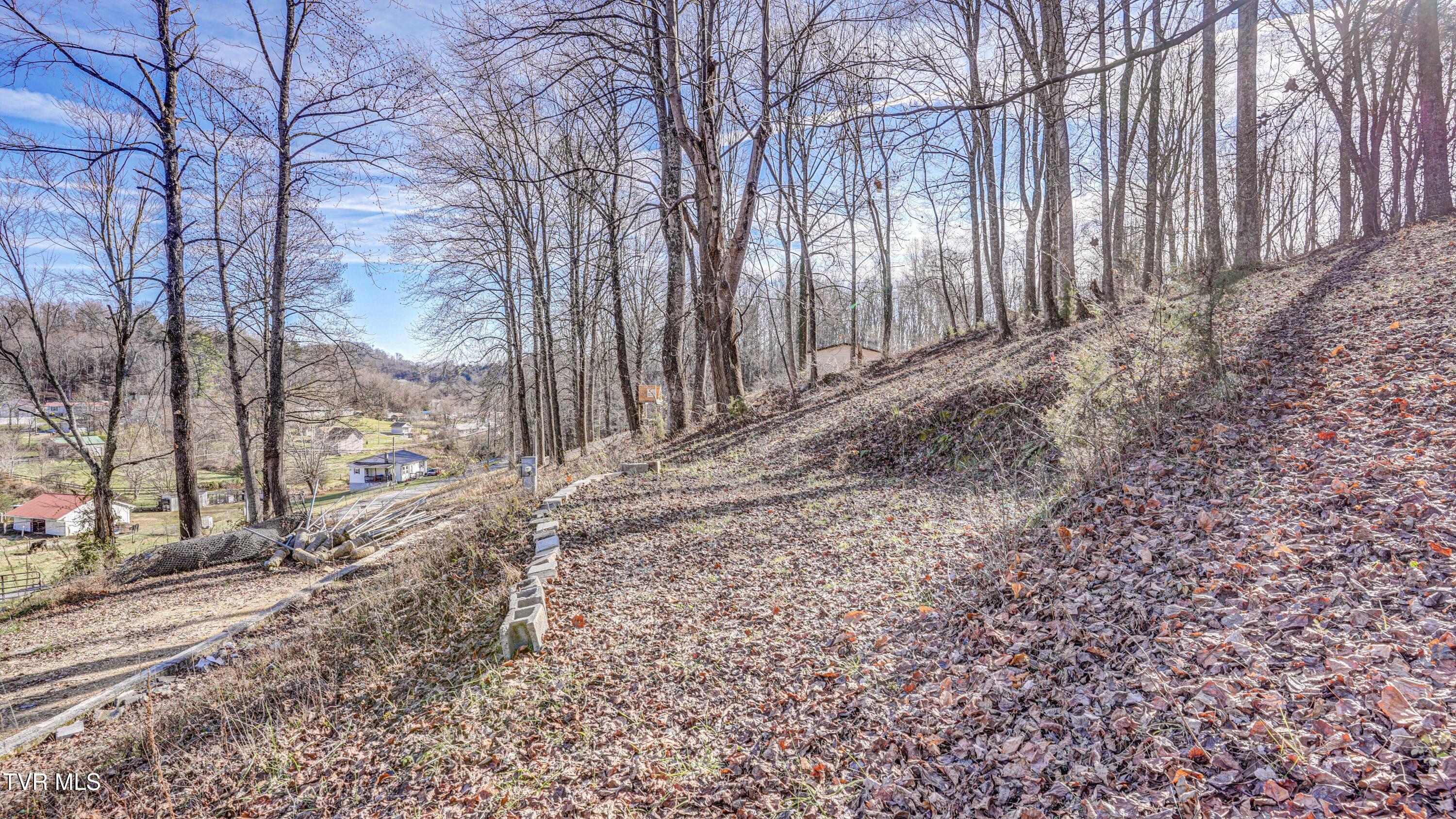 337 Johnson Cemetery Road, Unit LOT 14 Blountville, TN 37617 - Photo 18 of 27 DSC02407_08_09_10_11