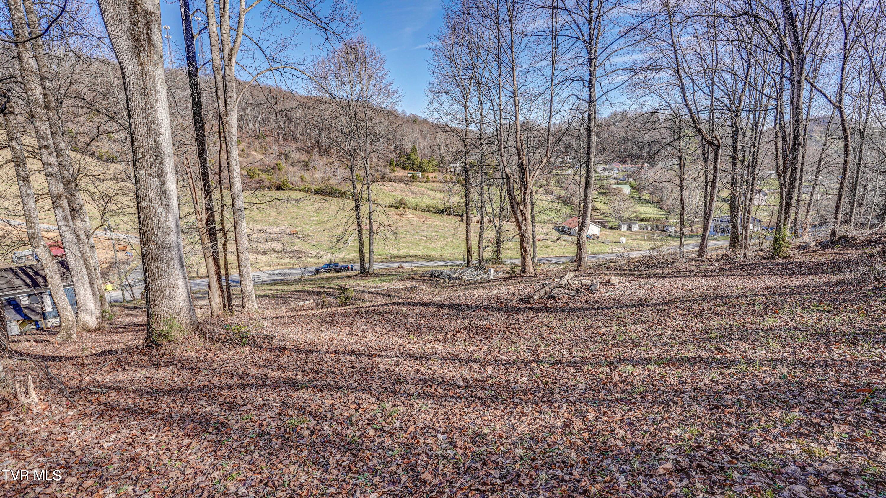 337 Johnson Cemetery Road, Unit LOT 14 Blountville, TN 37617 - Photo 20 of 27 DSC02417_18_19_20_21