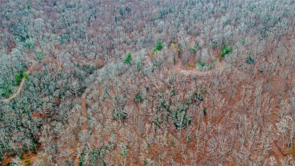 Undisclosed Address Rabun Gap, GA 30568 - Photo 89 of 100