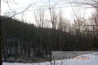 a view of backyard with a barn