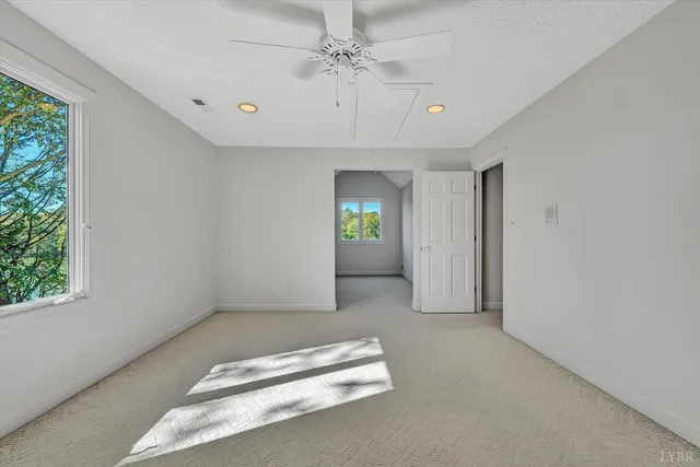 a view of a yard with plants and large trees