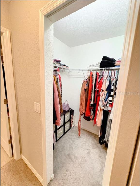 12365 Indigo Bunting Road Weeki Wachee, FL 34614 - Photo 23 of 39