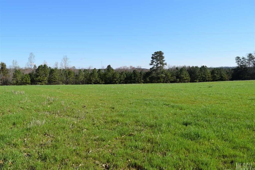 1306 Cat Square Road Vale, NC 28168 - Photo 2 of 24