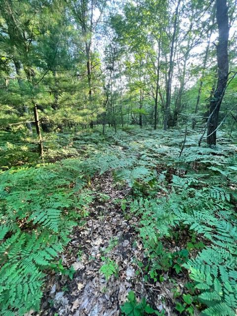 3675 Nasser (120 Acres) Road Fairview, MI 48621 - Photo 68 of 76 Gallery Image 68