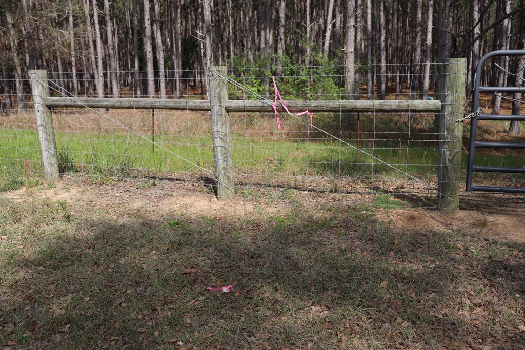 2154 J East Saunders Road Dothan, AL 36301 - Photo 13 of 15