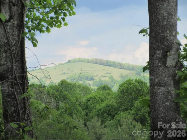 $89,000 | 0 Rocky Top Trail, Unit 4, Hot Springs, NC 28743