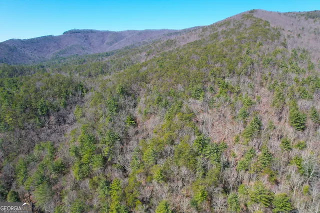 a view of a lush green hillside and a houses