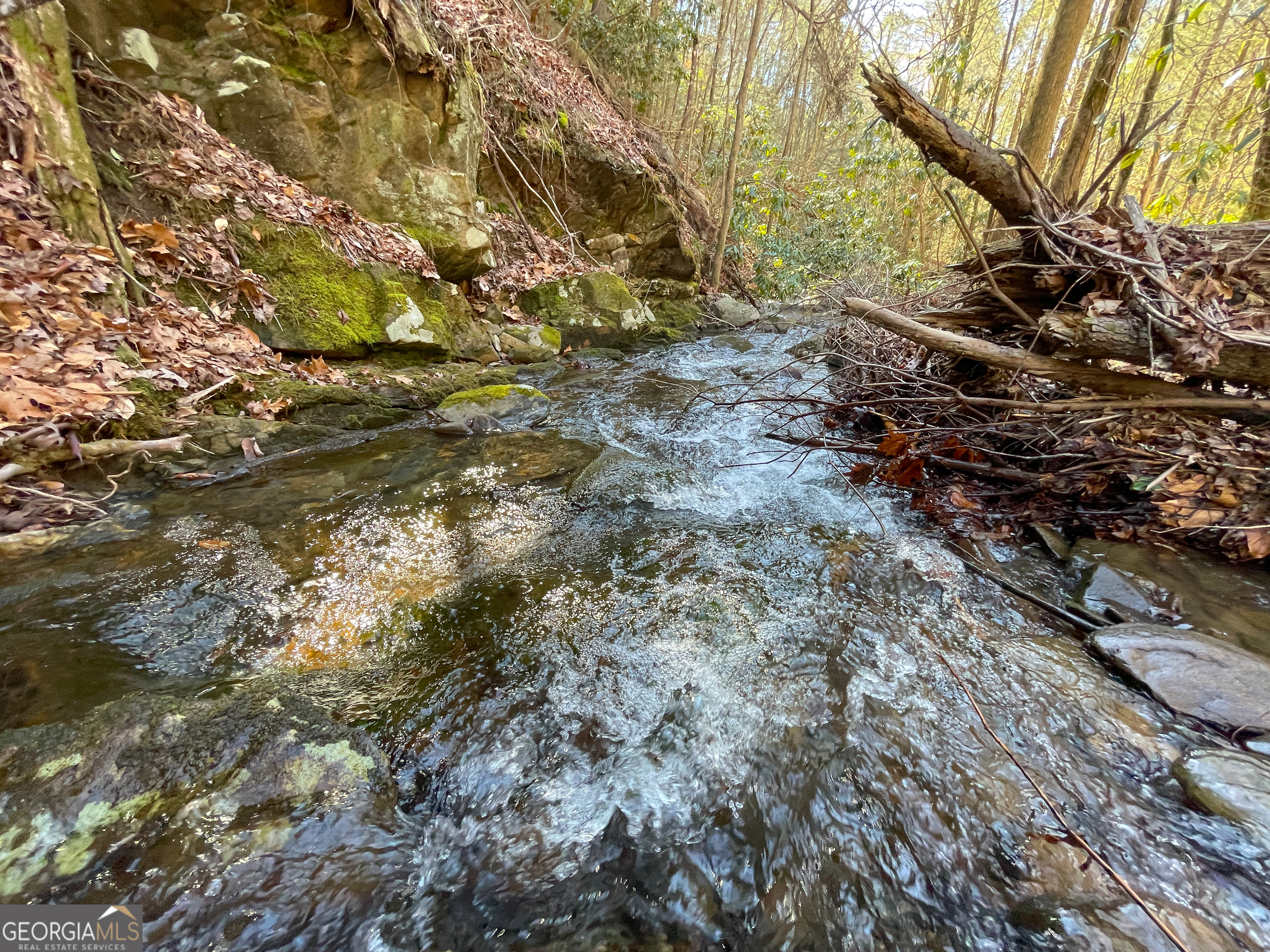 0 Peeples Lake Road Chatsworth, GA 30705 - Photo 11 of 37 a backyard of a house