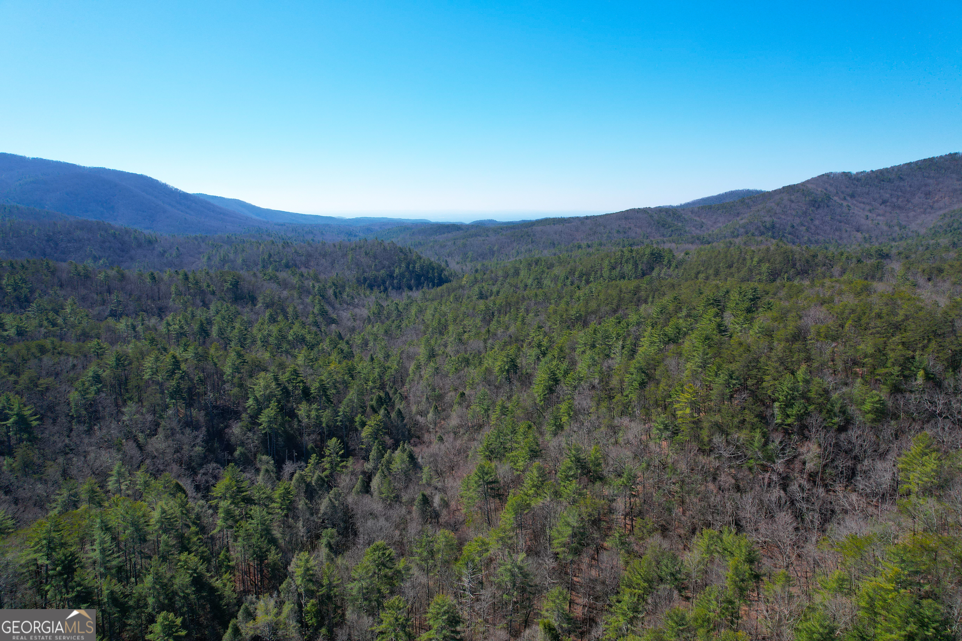 0 Peeples Lake Road Chatsworth, GA 30705 - Photo 14 of 37 a view of a lush green outdoor space with a mountain in the background