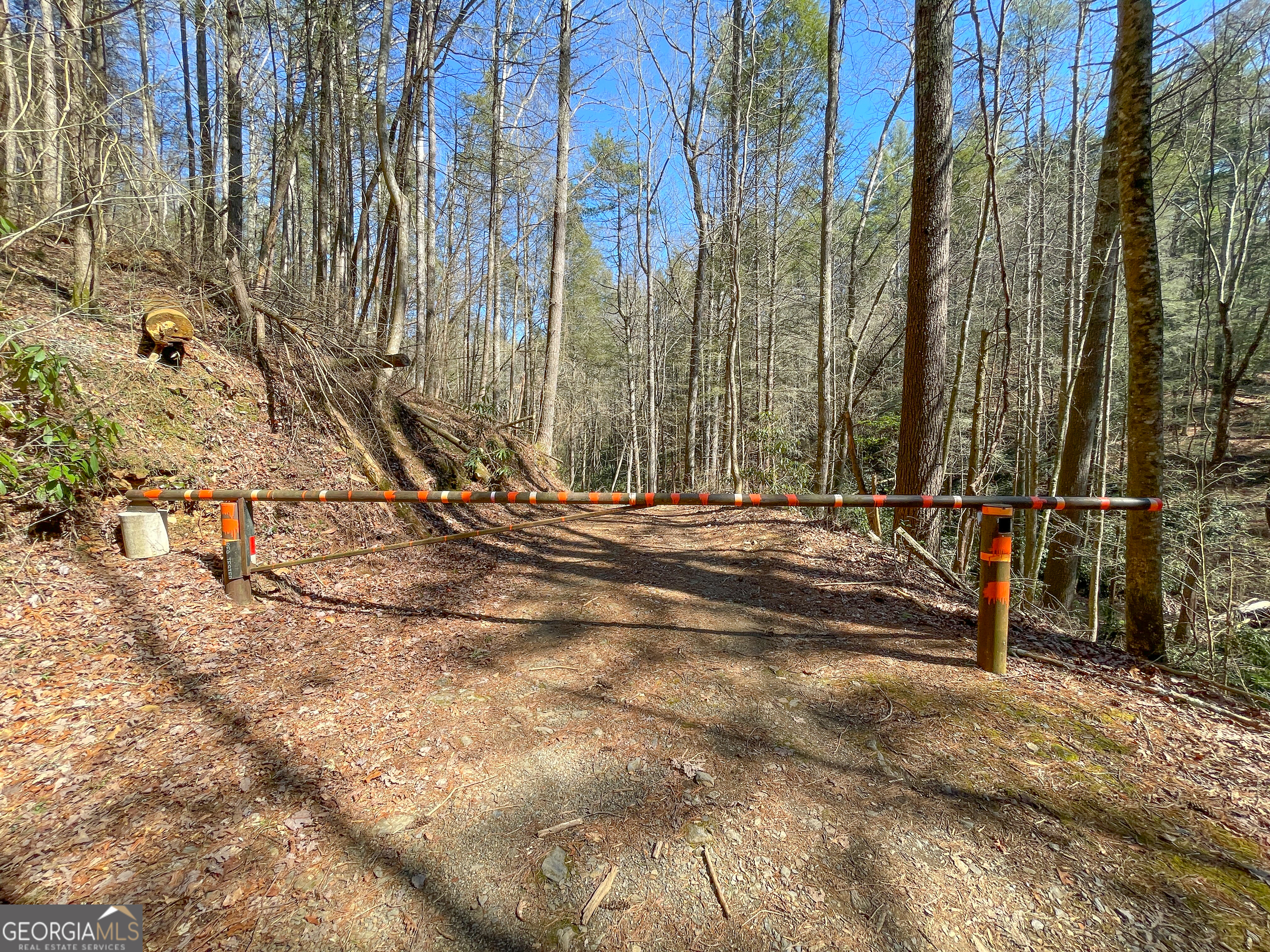 0 Peeples Lake Road Chatsworth, GA 30705 - Photo 16 of 37 a view of outdoor space with a street
