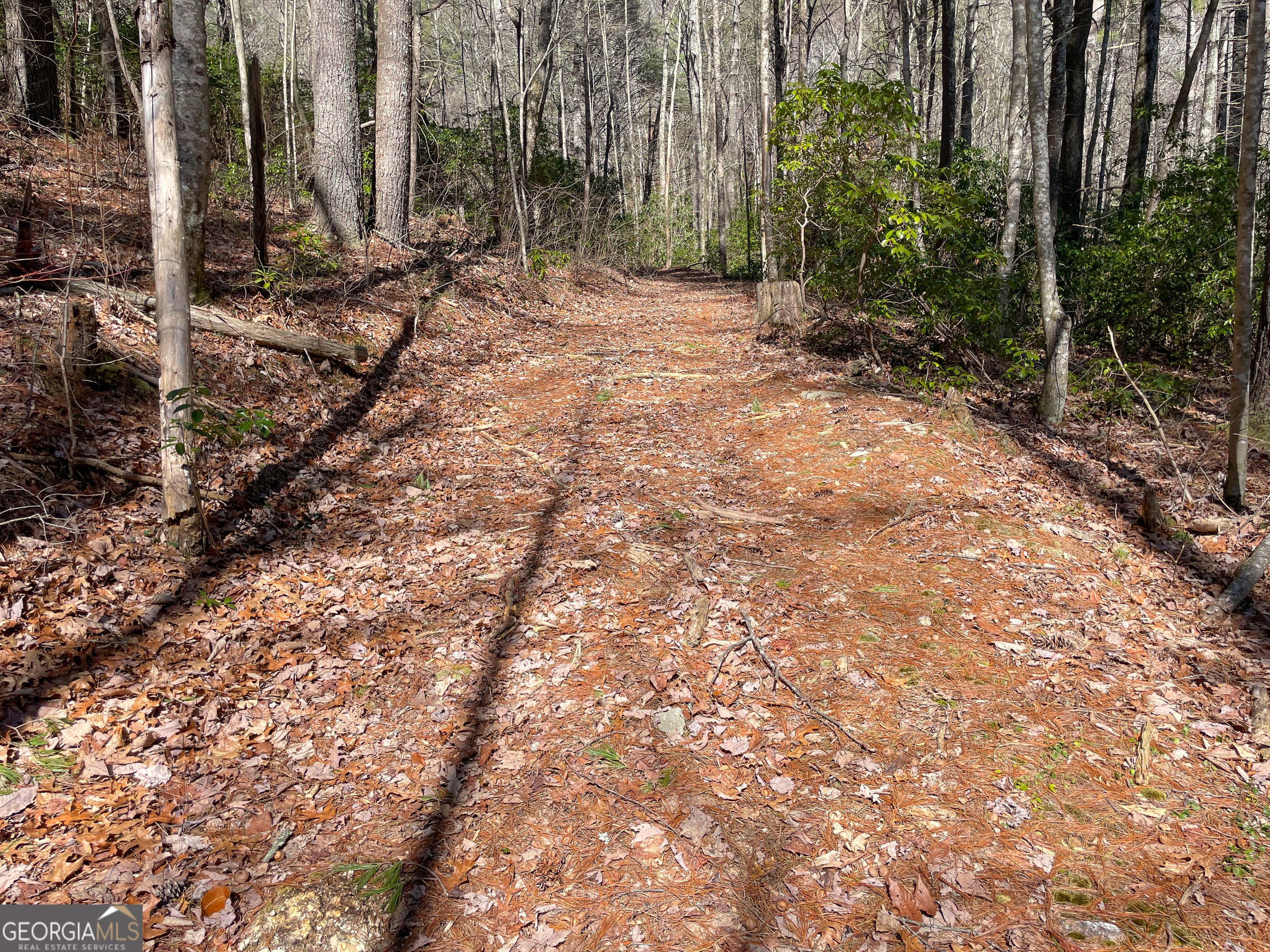 0 Peeples Lake Road Chatsworth, GA 30705 - Photo 17 of 37 a backyard of a house with lots of green space
