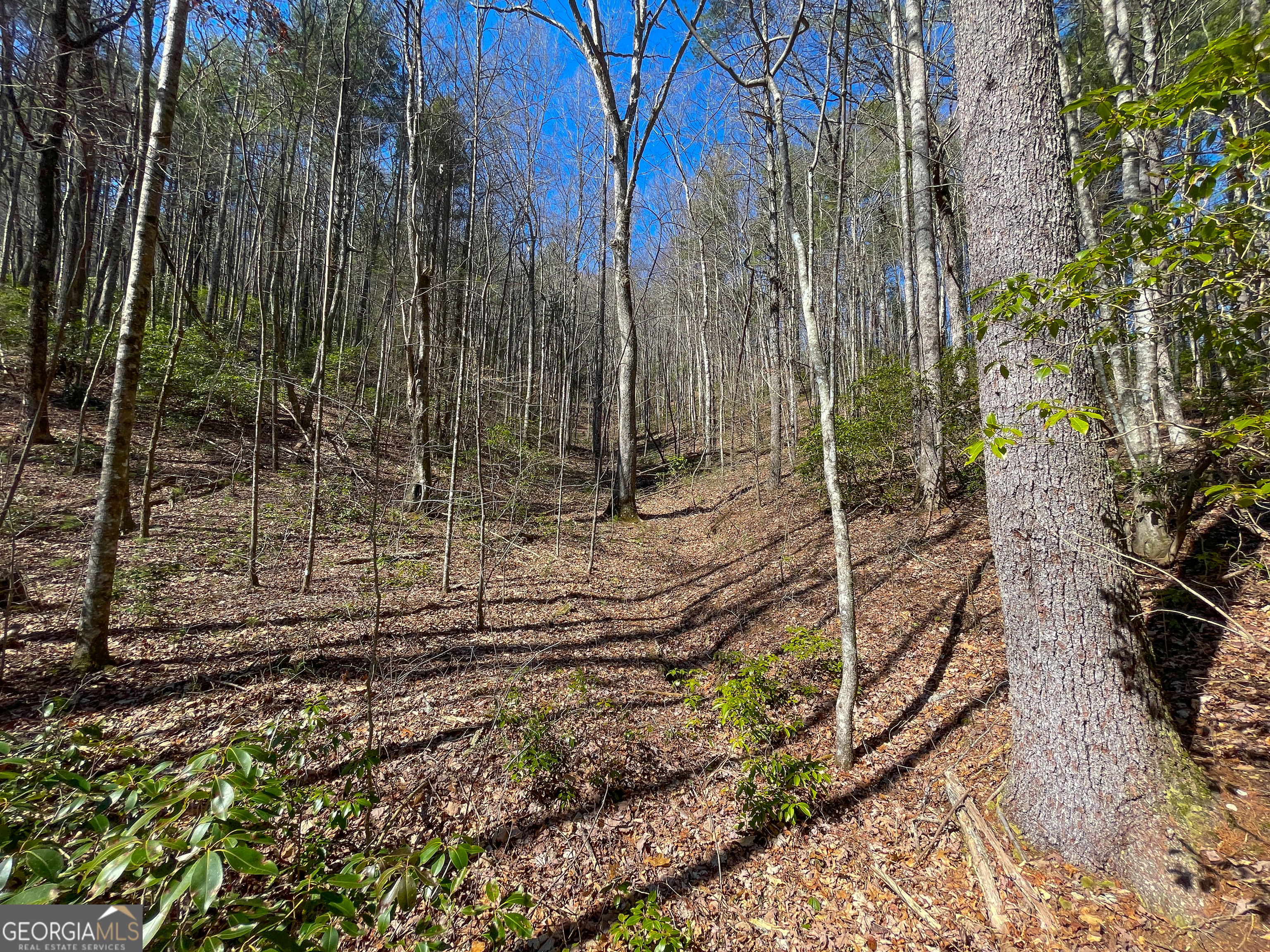 0 Peeples Lake Road Chatsworth, GA 30705 - Photo 19 of 37 a view of a backyard with of the house