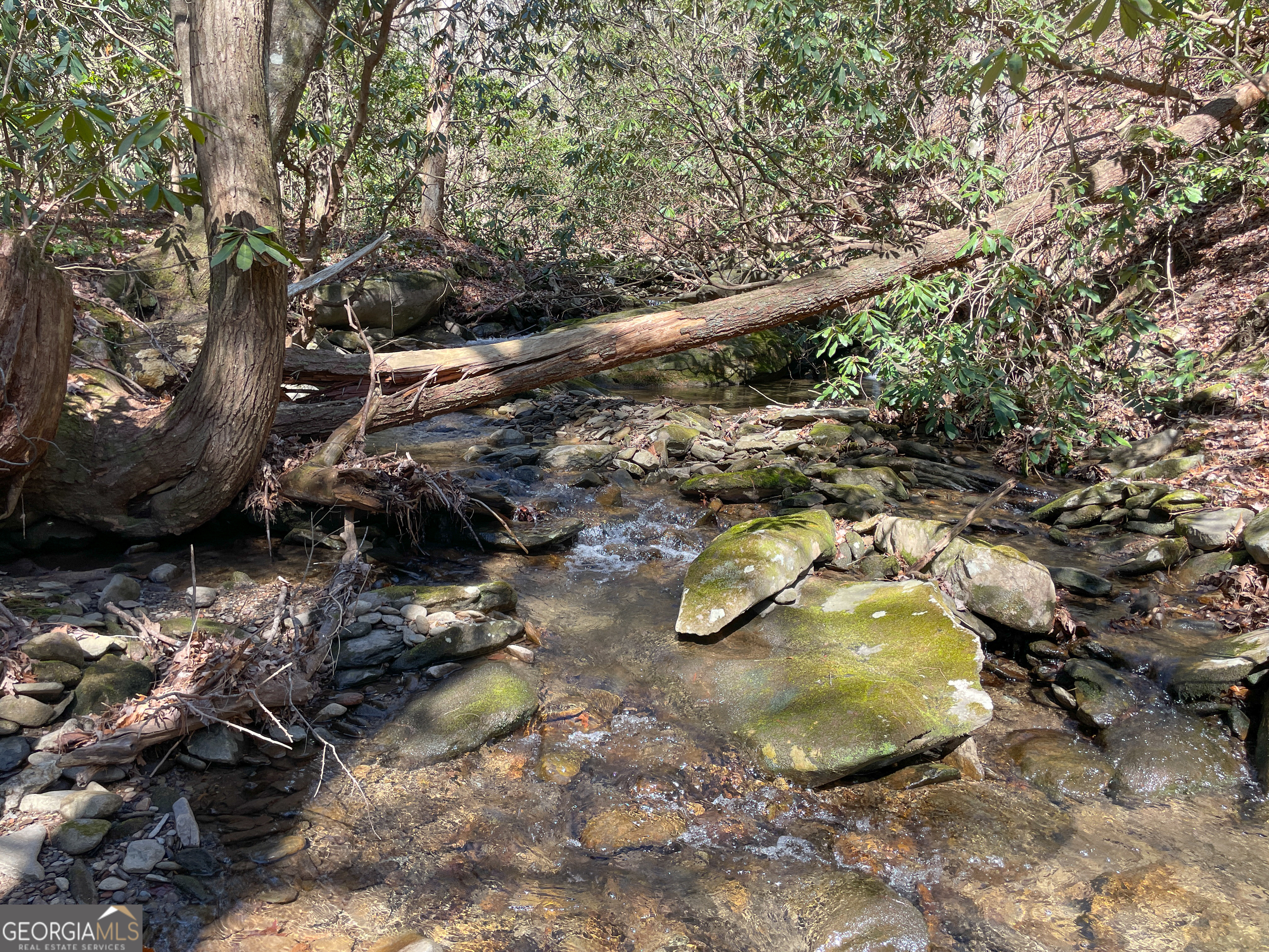 0 Peeples Lake Road Chatsworth, GA 30705 - Photo 20 of 37 a view of a backyard of a house