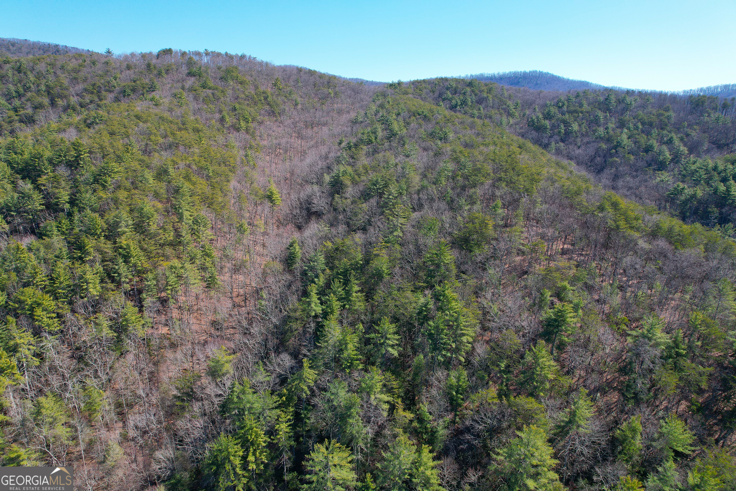 0 Peeples Lake Road Chatsworth, GA 30705 - Photo 21 of 37 a view of a lush green hillside and a mountain view