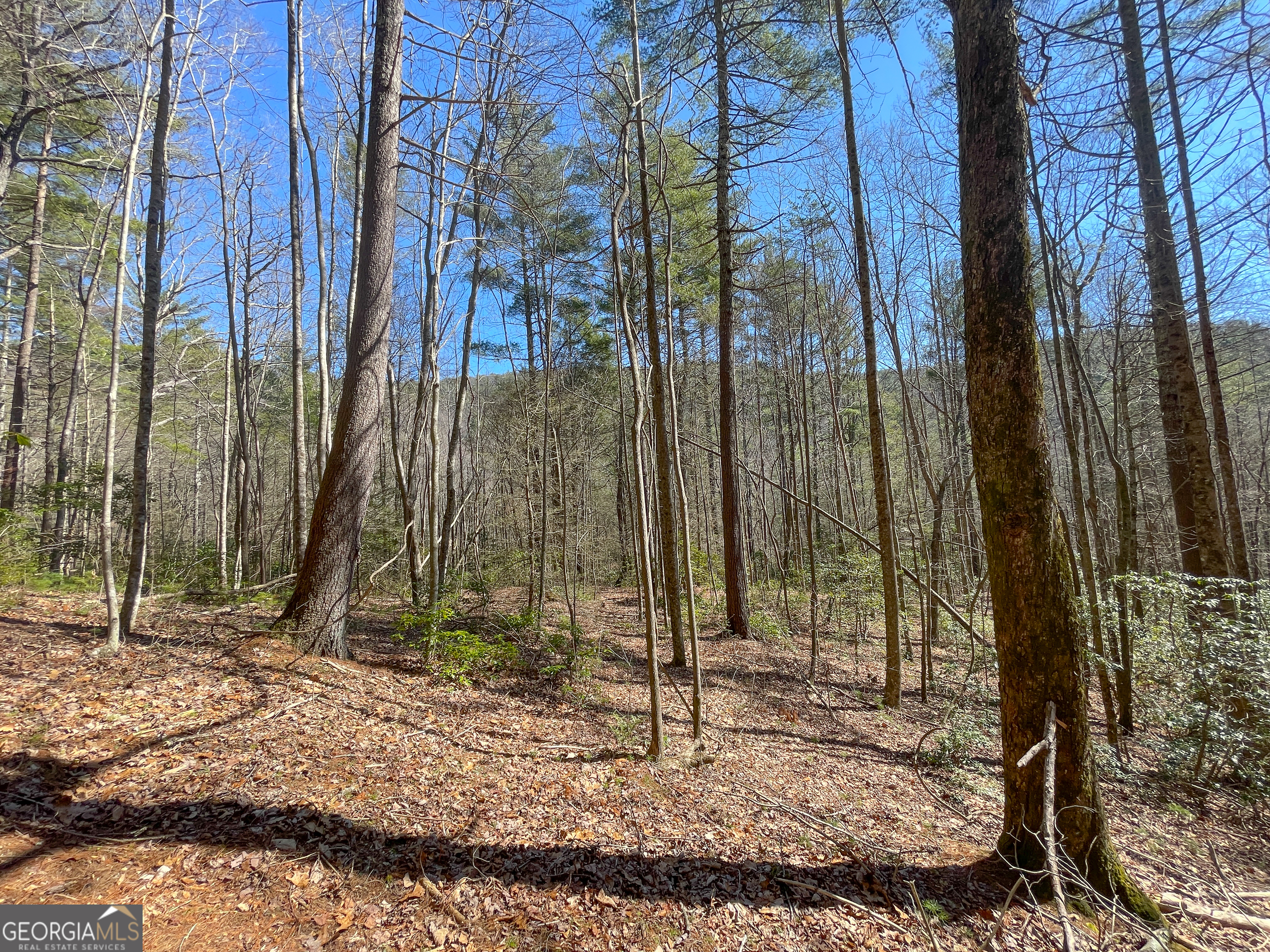 0 Peeples Lake Road Chatsworth, GA 30705 - Photo 23 of 37 a view of a bird bath