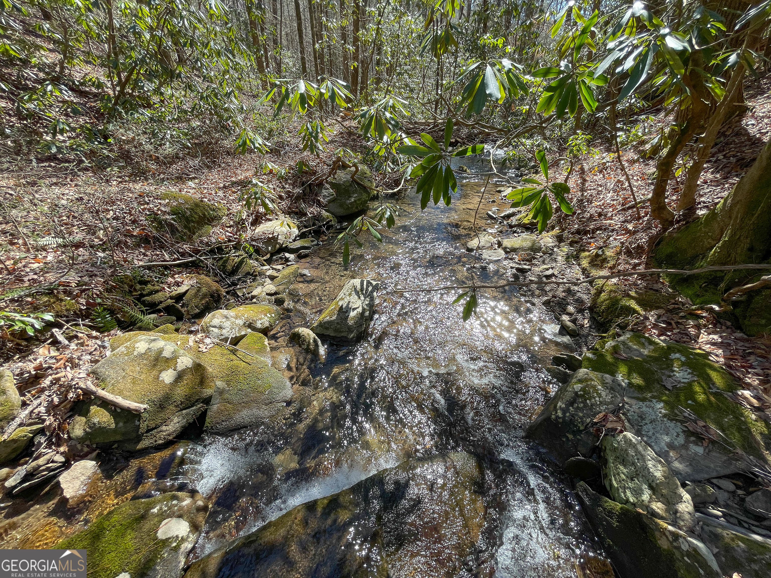 0 Peeples Lake Road Chatsworth, GA 30705 - Photo 24 of 37