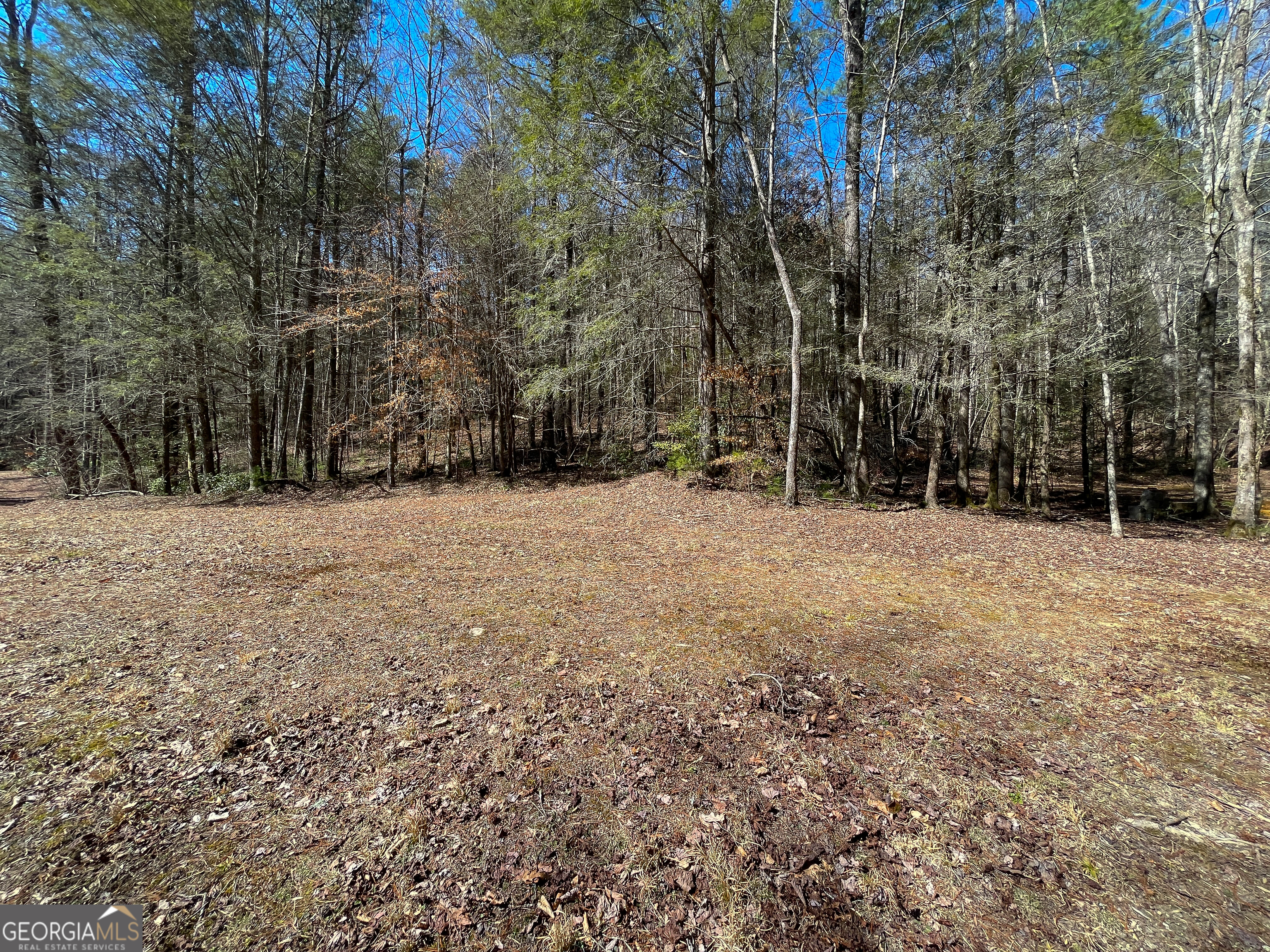 0 Peeples Lake Road Chatsworth, GA 30705 - Photo 25 of 37 a view of outdoor space with trees