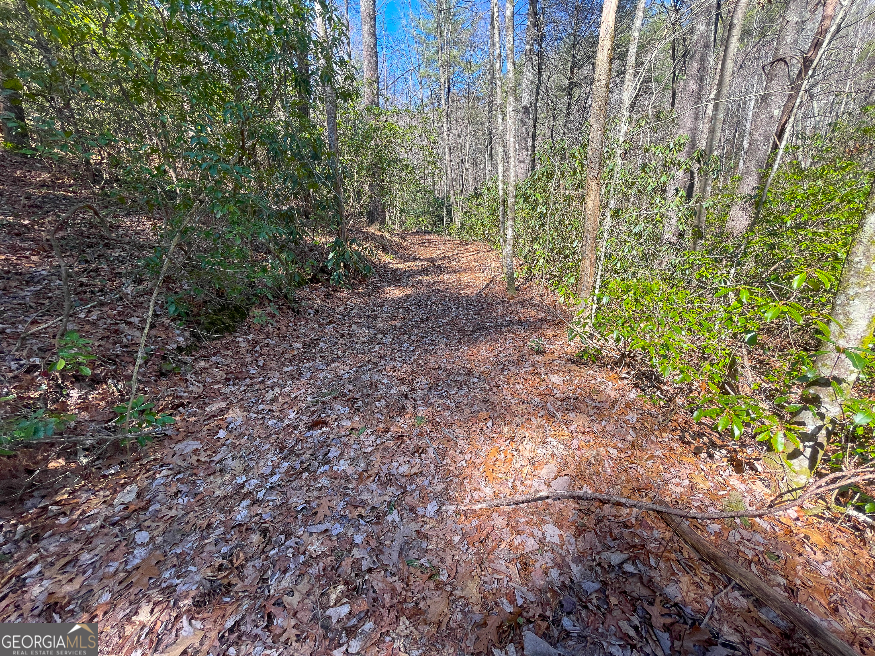 0 Peeples Lake Road Chatsworth, GA 30705 - Photo 26 of 37 a view of a yard with plants and trees